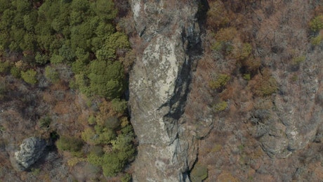 Aerial view of a rocky mountain in the forest on a sunny day.