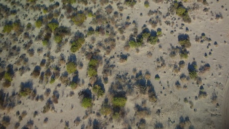 Aerial view of a sandy terrain