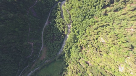 Aerial view of a stream between the forest