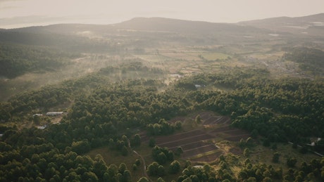 Aerial view of a wooded landscape in the morning.