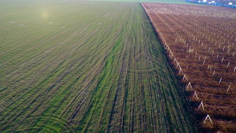 Aerial view of agricultural fields.