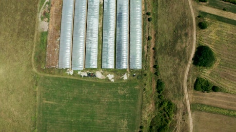 Aerial view of agricultural growth center in countryside.