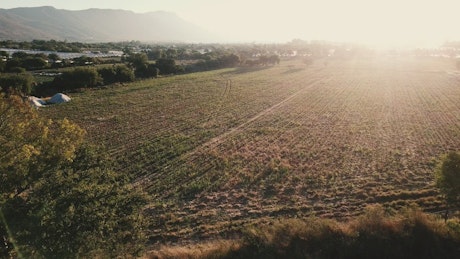 Aerial view of agriculture field.