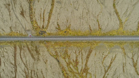 Aerial view of cars driving through a desert road.
