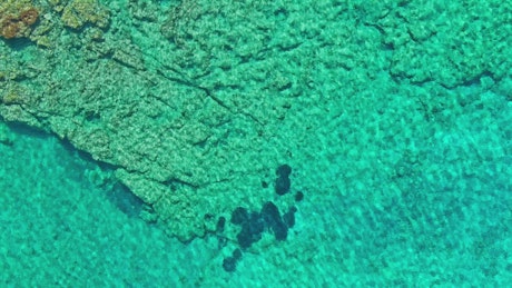 Aerial view of crystal clear rocky sea shore.
