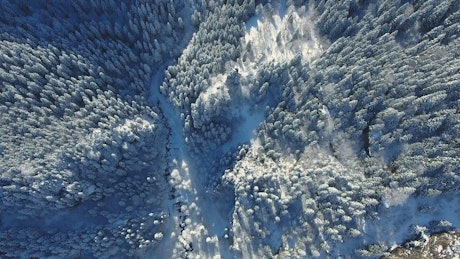 Aerial view of snowy forest in the mointains
