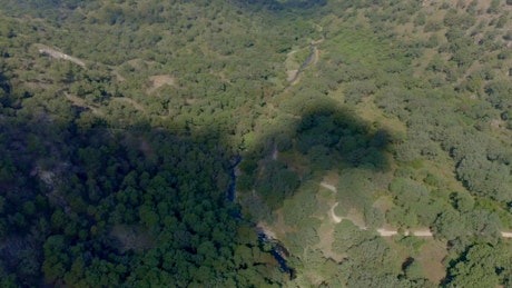 Aerial view of the shadow of a cloud covering the green forest.