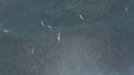 Aerial view of waves and surfers.