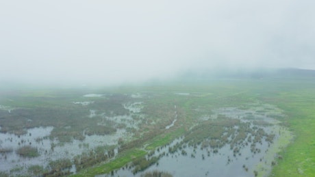 Aerial view over a cloudy meadow covered with water