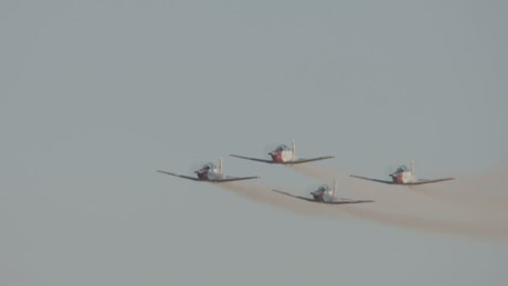 Airshow featuring aerobatics air force team performance.