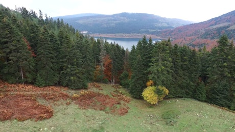 An autumn forest and lake landscape