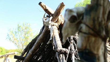 Animal skull tied to a branch.