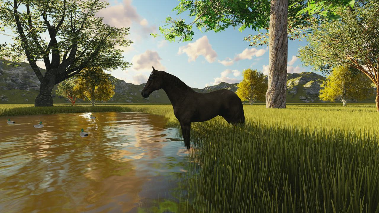 Хорс лейк. Лошадь пьет воду. Лошадь пьет из озера гифка.