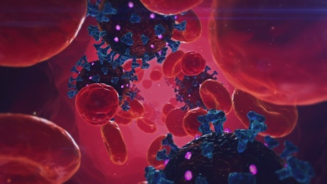 Animation of viruses infecting the human body