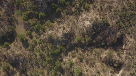 Area in the savanna aerial shot.