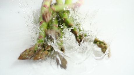 Asparagus splashing into water