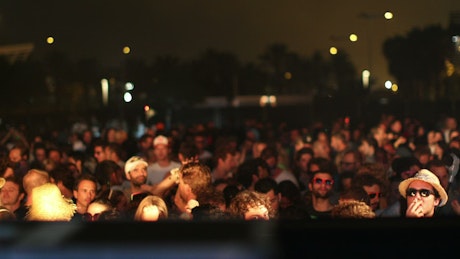Audience at a concert