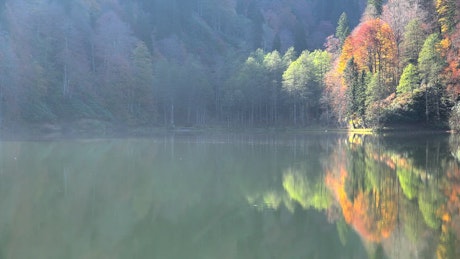 Autumn forest by the lake