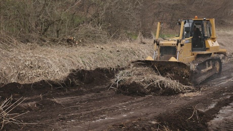Backhoe clearing land for construction.