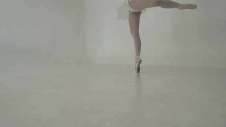 Ballerina dancing.