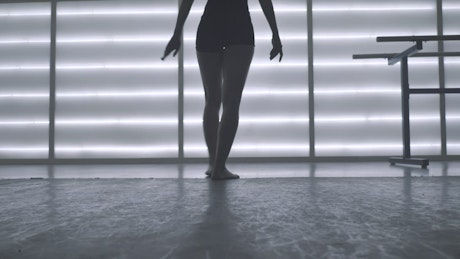 Ballet dancer's legs in position