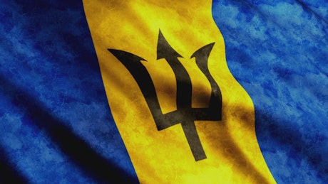 Barbados flag 3D animation.