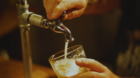 酒吧里的调酒师从玻璃杯里的水龙头里端啤酒