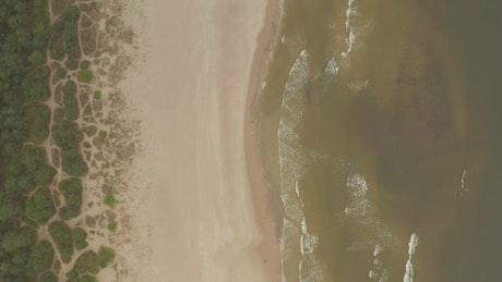 Beach, sand and sea, top aerial shot.