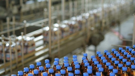 Beer bottle production line in the factory.