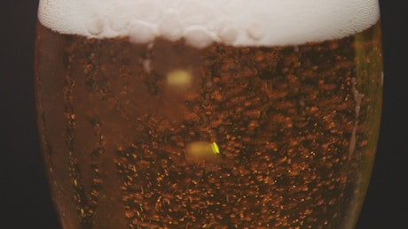 Beer bubbles floating to the top