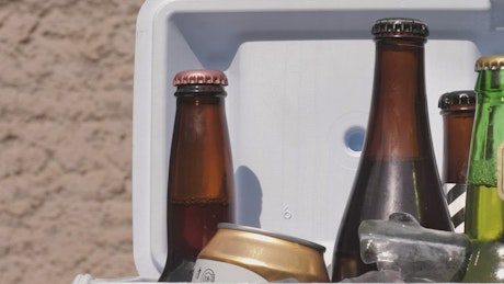 Beers in a small cooler.