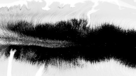 Black and white ink underwater.