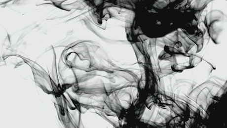 Black ink swirls on a white background.