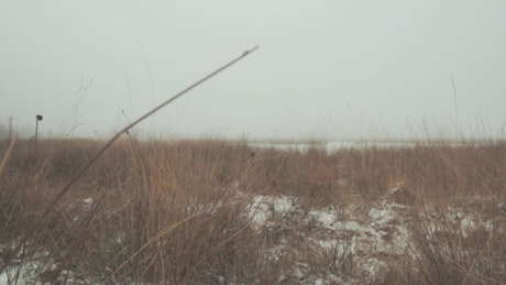 Bleak winter landscape.
