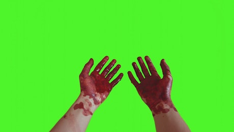 Bloody hands being held up in front of a green screen.