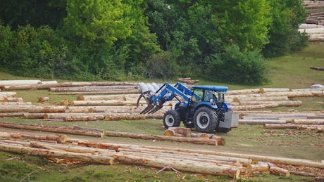 Bobcat lifting wooden logs cut down and needing to be piled up.