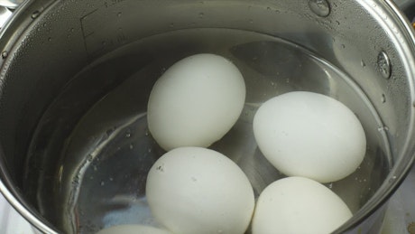 Boiling white eggs.
