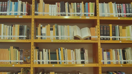 Bookcase of a library seen in detail