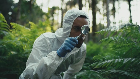 Botanical biologist makes observations in the forest.