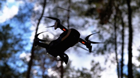 Bottom shot of a drone hovering in the woods.