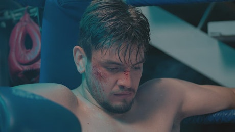 Boxer bleeding after a fight