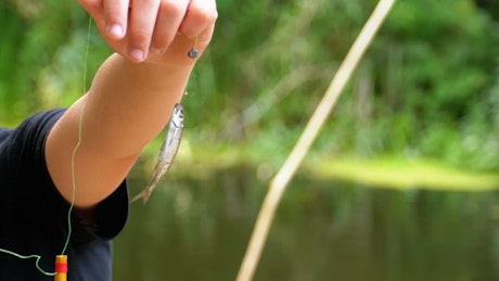 Boy holding a fish bait.