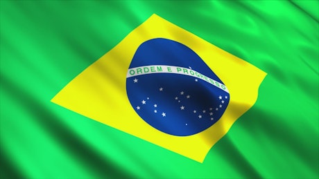 Brazil's flag.