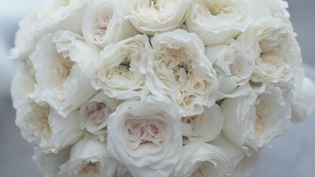 Bridal bouquet of white flowers in a close up shot.