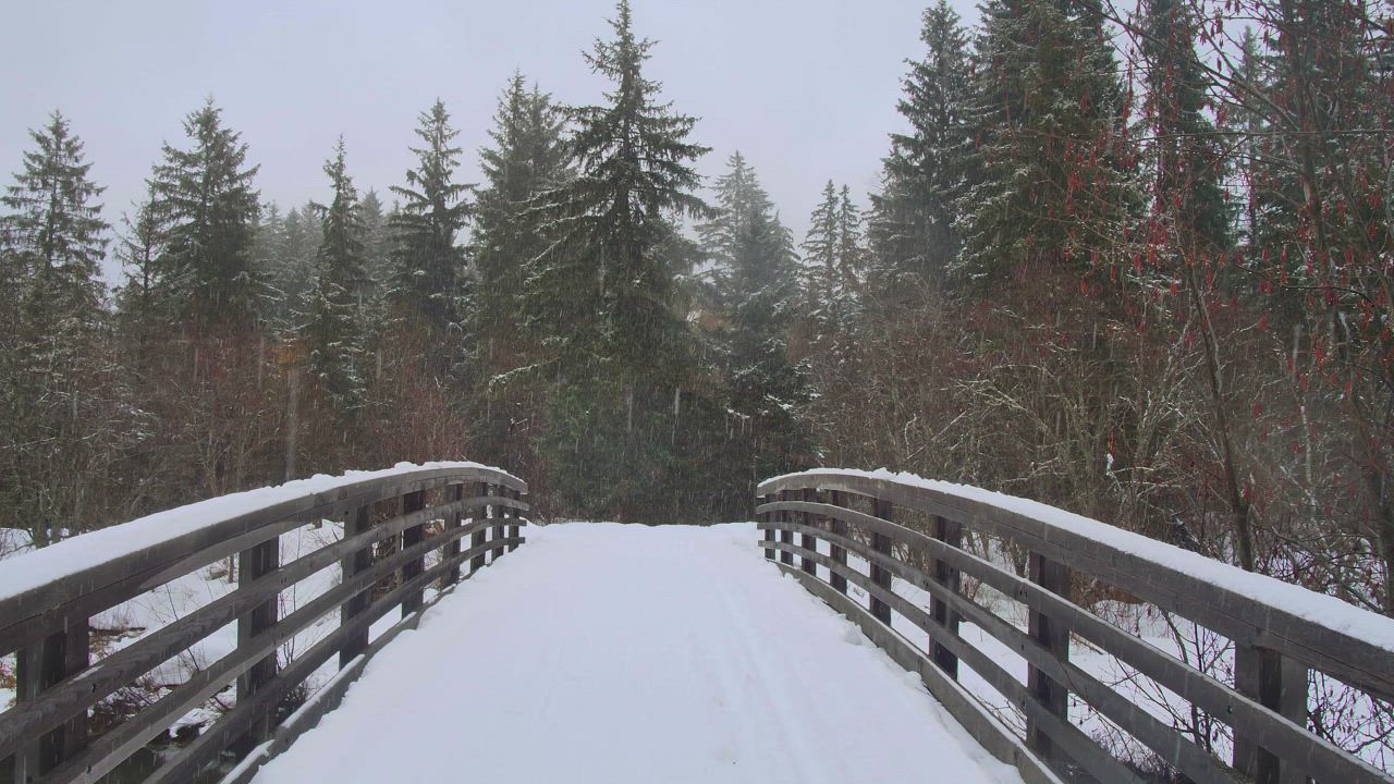 Bridge covering of snow in a forest Free Stock Video