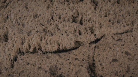 Brown rocky surface with a porous texture.