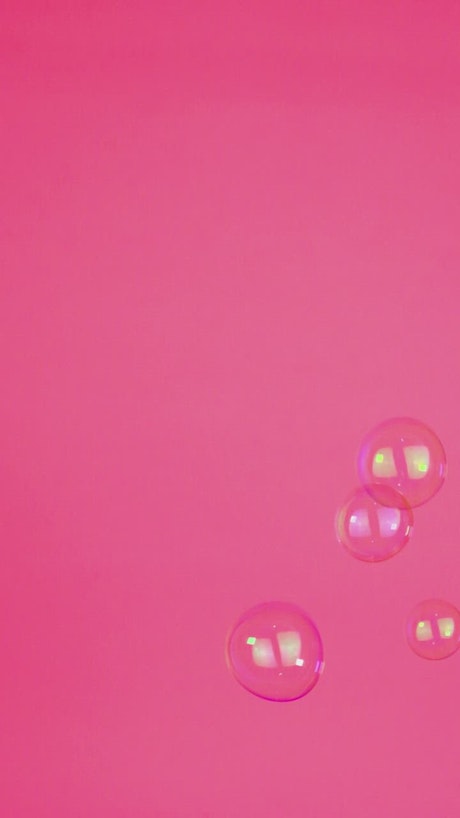 Bubbles floating on a pink background.