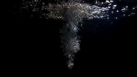 Bubbles underwater in a black tank.
