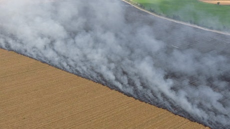 Burning agricultural fields and smoke