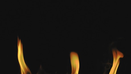 Burning flames on a black background.